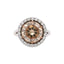 9.02ct Round Brilliant Cut Diamond
