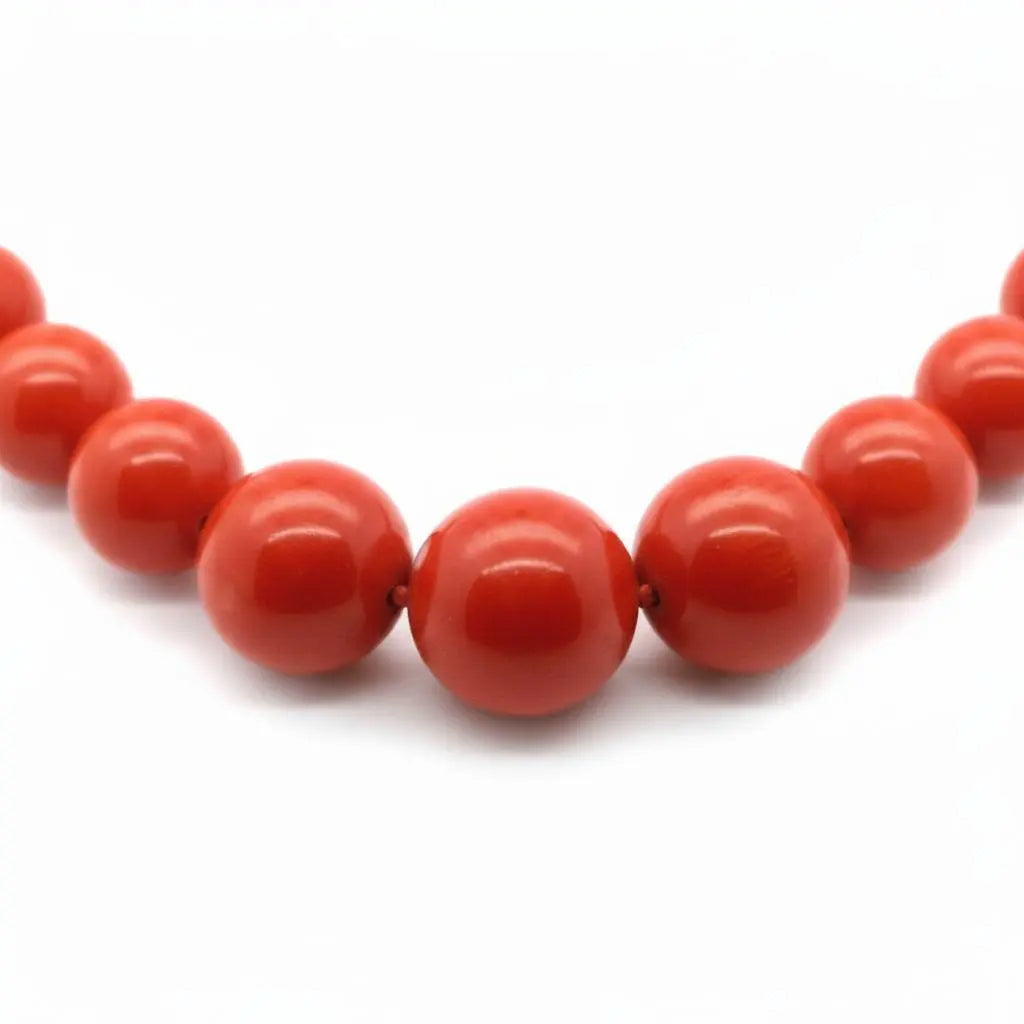 8-16MM Pacific Ocean Coral